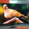 Dexp 43(110)/Smart TV/Wi-Fi/Full HD (1920x1080)